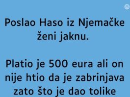 VIC DANA: Jakna