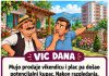 VIC DANA: PRODAJA VIKENDICE