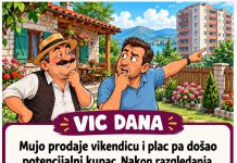 VIC DANA: PRODAJA VIKENDICE
