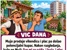 VIC DANA: PRODAJA VIKENDICE