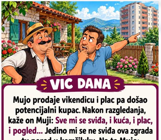 VIC DANA: PRODAJA VIKENDICE
