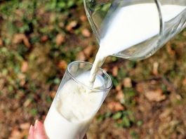 Mlijeko i jabukovo sirće: Zaboravljeni domaći lijek za koji mnogi vjeruju da čini čuda