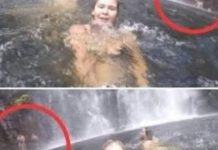 Ni ja to nisam odmah primetio… 😲