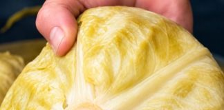 Ako pogriješite datum, sve vam može propasti: Evo kada se tačno kiseli kupus ove godine