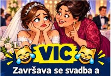 VIC DANA: Svekrva i snaja…..