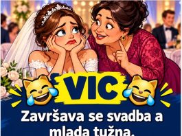 VIC DANA: Svekrva i snaja…..