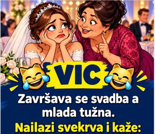 VIC DANA: Svekrva i snaja…..